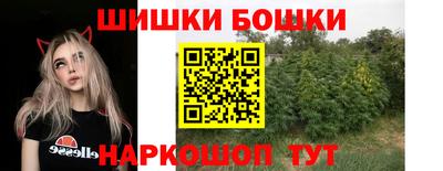 крисы Пыть-Ях