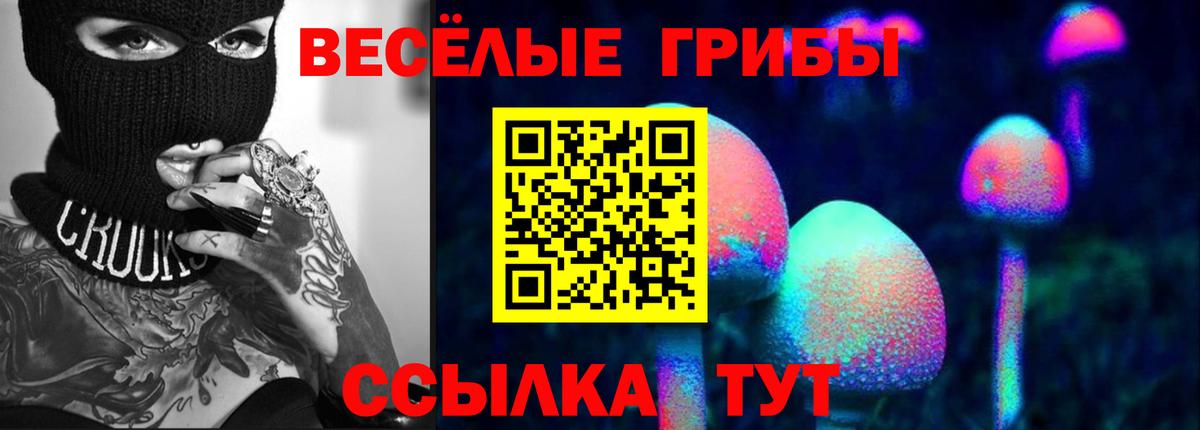 Псилоцибиновые грибы MAGIC MUSHROOMS  Вход с VPN  хочу наркоту  Соликамск 